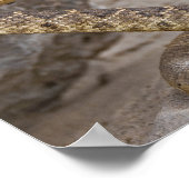 Poster Attaque de serpent à sonnette (Coin)