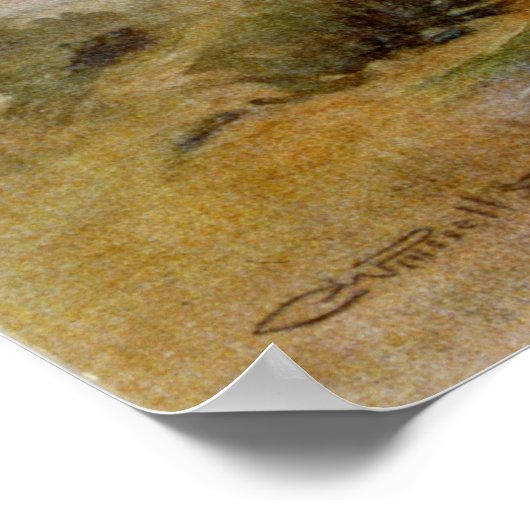 Poster Attaque indienne (Coin)