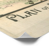 Poster Attaque sur les hauteurs de Marie (Coin)