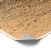 Poster Attaquer l'ours grizzli, 1844 George Catlin (Coin)