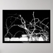 Poster Atteindre (Devant)