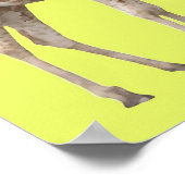 Poster Atteindre (Coin)