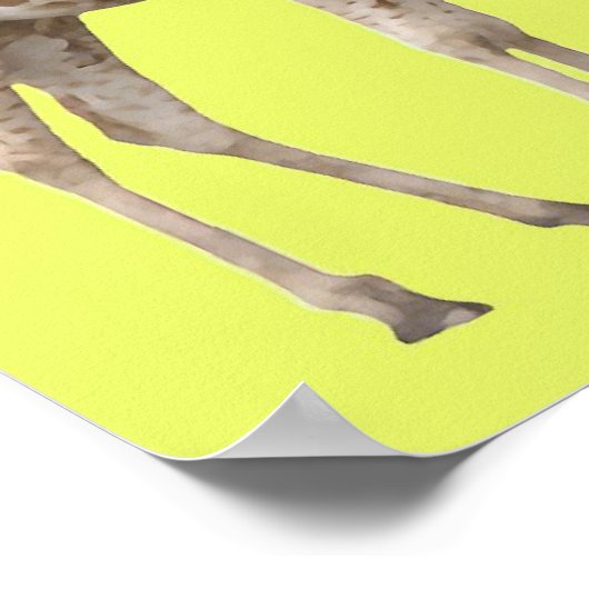 Poster Atteindre (Coin)