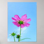 Poster Atteindre la vie (Devant)