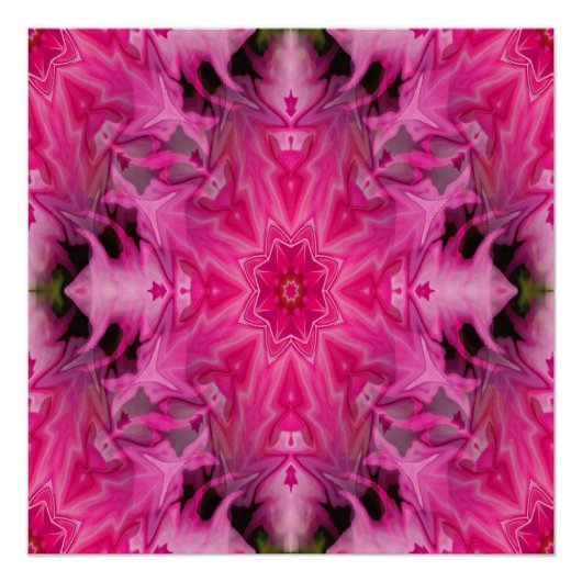 Poster Atteindre pour l'étoile... (Devant)