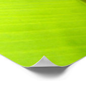 Poster Atteindre Sun (Coin)