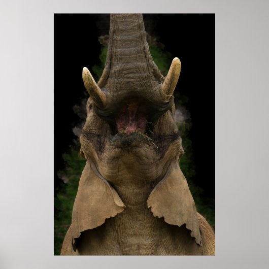 Poster Atteinte ascendante de Skyward Snack Elephant (Devant)