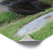 Poster Attendons de voir (Coin)