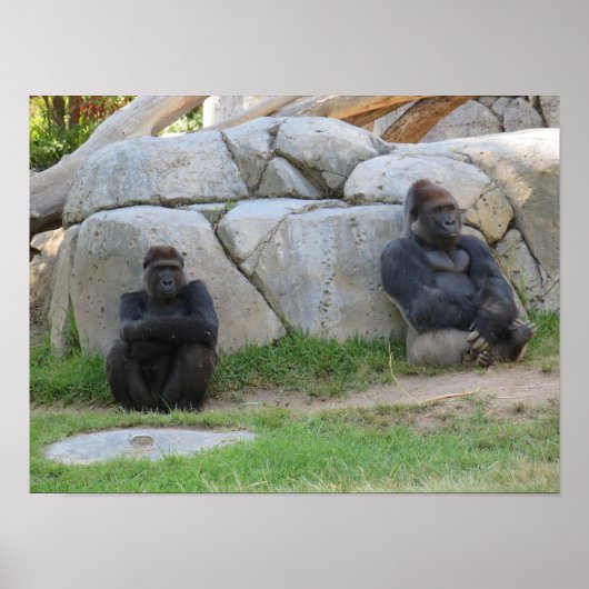 Poster Attendons de voir (Devant)