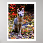 POSTER ATTENDRE SANDRA (Devant)