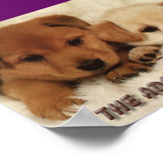 Poster Attendrez-vous d'adopter un animal ? (Coin)