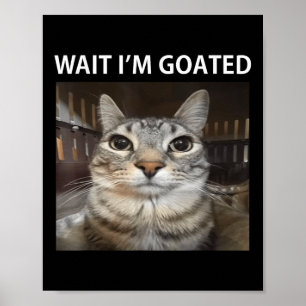 Poster Attends, Je Suis Allé Mème De Chat Silly