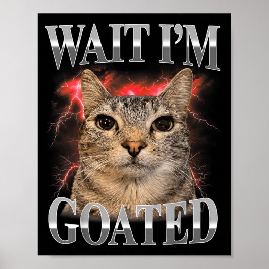 Poster Attends Je Suis Divin Chaton Drôle Mème de Chat Dr (Devant)