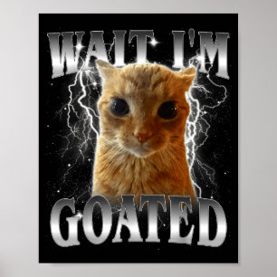 Poster Attends je suis génial mème de chat drôle qui fixe