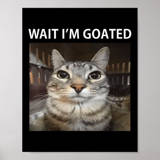 Poster Attends je suis Goated Silly Cat Meme  (Devant)