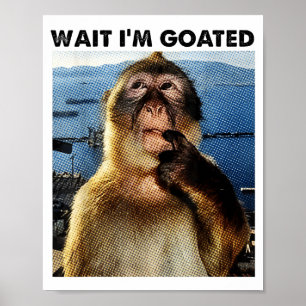 Poster Attends je suis Goated Y2k Drôle de Singe Pensif M