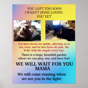 Poster Attends Mama, je n'avais pas fini de t'aimer Mémor