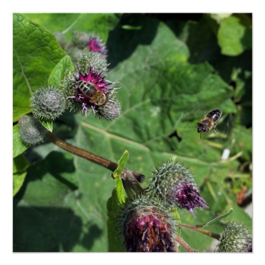 Poster attends-moi (Devant)