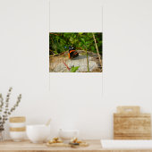 Poster Attente (Cuisine)