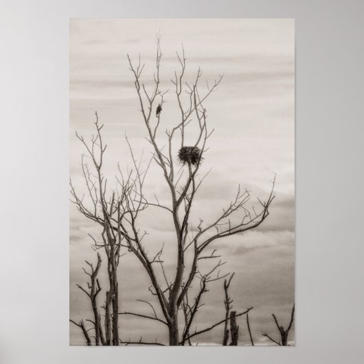 Poster Attente de la vie (Devant)