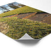 Poster Attention (Coin)