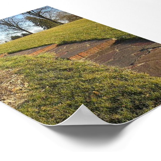 Poster Attention (Coin)