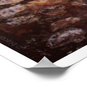 Poster attention (Coin)