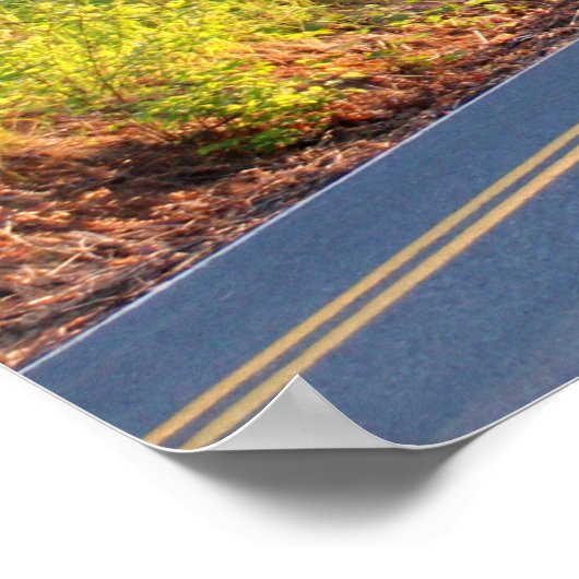 Poster Attention aux cerfs (Coin)