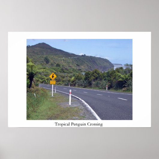 Poster Attention aux pingouins (Devant)