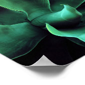 Poster Atténuata Agave Vert (Coin)