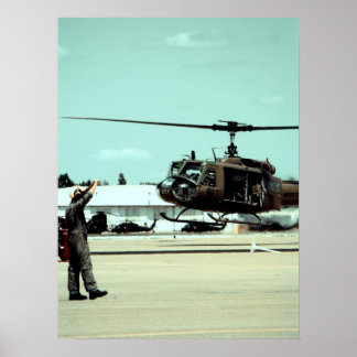 Poster Atterrir l'oiseau