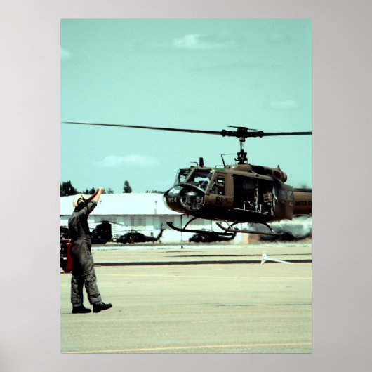 Poster Atterrir l'oiseau (Devant)