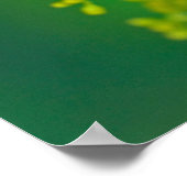 Poster Atterrissage à queue nue (Coin)