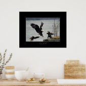 POSTER ATTERRISSAGE BALD EAGLE (Cuisine)