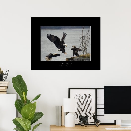 POSTER ATTERRISSAGE BALD EAGLE (Bureau à domicile)