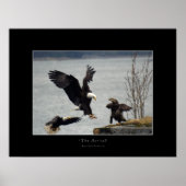 POSTER ATTERRISSAGE BALD EAGLE (Devant)