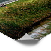 Poster Atterrissage de la navette spatiale (STS-108) (Coin)