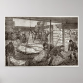 Poster Atterrissage de viande australienne congelée (Devant)