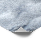 Poster Atterrissage du canard-Majard Photo de la faune (Coin)