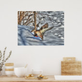 Poster Atterrissage du canard-Majard Photo de la faune (Cuisine)