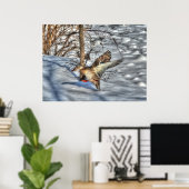 Poster Atterrissage du canard-Majard Photo de la faune (Bureau à domicile)