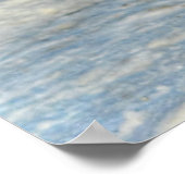 Poster Atterrissage du canard-Majard Photo de la faune (Coin)