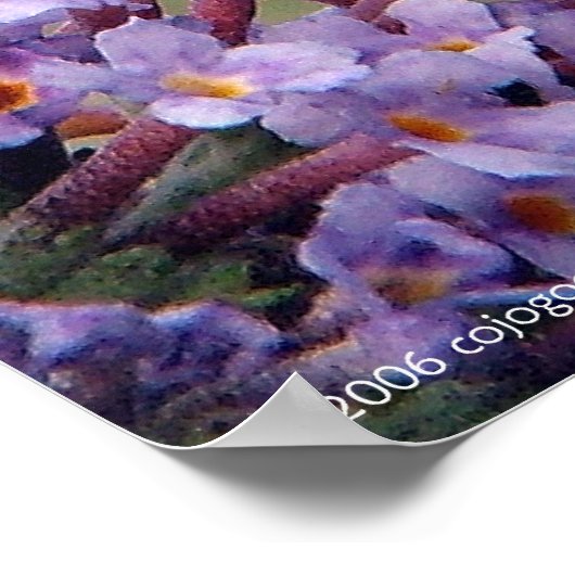 Poster "Attitude" (Coin)