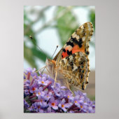 Poster "Attitude" (Devant)