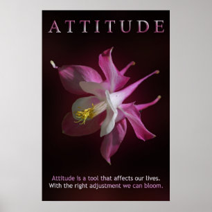 Poster Attitude