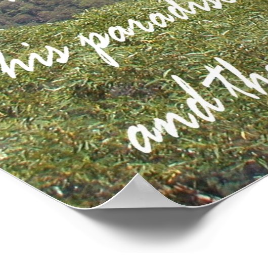 Poster Attitude (Coin)