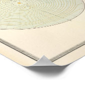 Poster Attitude de polarisation (Coin)