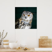Poster 'Attitude' - Hibou (Cuisine)