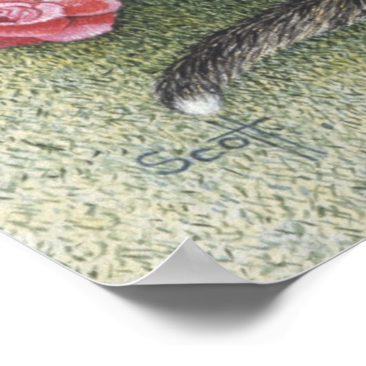 Poster Attraction (Coin)