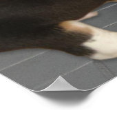 Poster Attrapé avec mon pantalon à nouveau, mignon chien  (Coin)